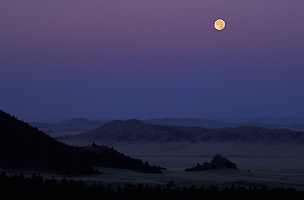 Moonset at Dawn, Wilkerson Pass